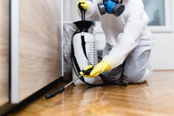 Best Emergency Pest Control  in Derry, PA
