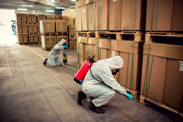 Best Residential Pest Control  in Derry, PA