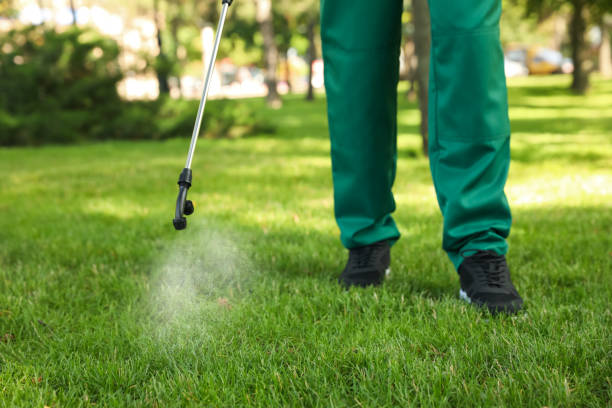 Best Emergency Pest Control  in Derry, PA