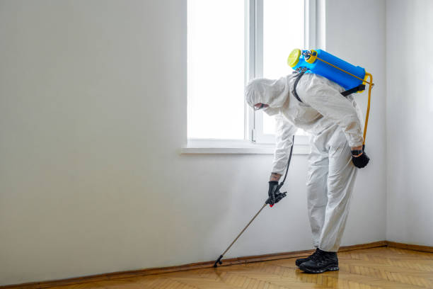 Best Termite Control Services  in Derry, PA