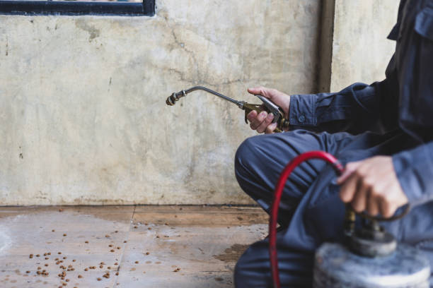 Best Residential Pest Control  in Derry, PA