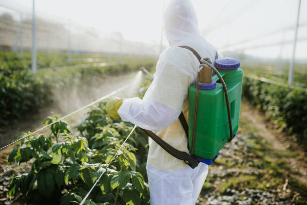 Best Pest Prevention Services  in Derry, PA